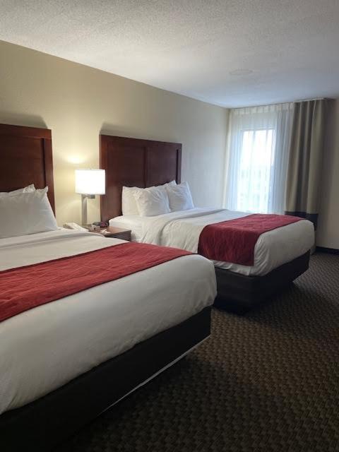 Comfort Ebensburg